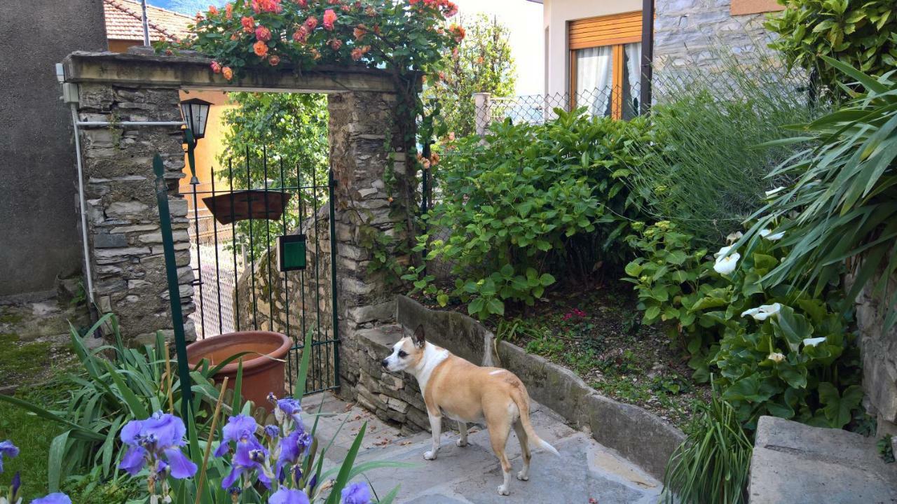 B&B "A Casa Di Camilla" Carate Urio Exteriér fotografie