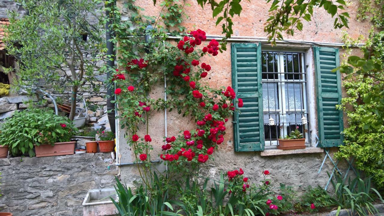 B&B "A Casa Di Camilla" Carate Urio Exteriér fotografie